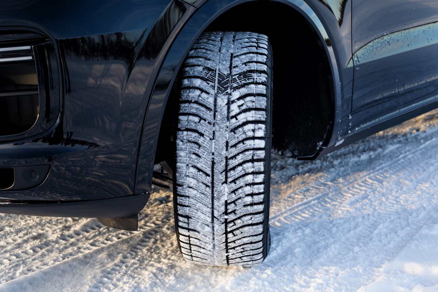 купить шины Michelin Pilot Alpin 5 SUV 305/40 R20 112V XL N0 с гарантией