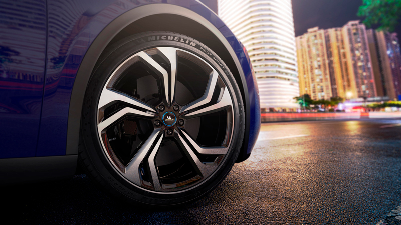 купить шины Michelin Pilot Sport EV Acoustic 295/30 R21 102Y XL MO1 с гарантией