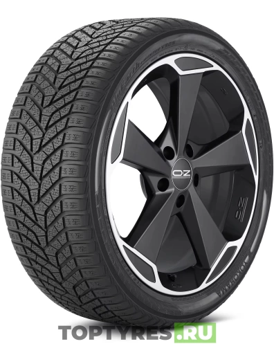 Yokohama BluEarth Winter V905 275/40 R20 106V купить с доставкой