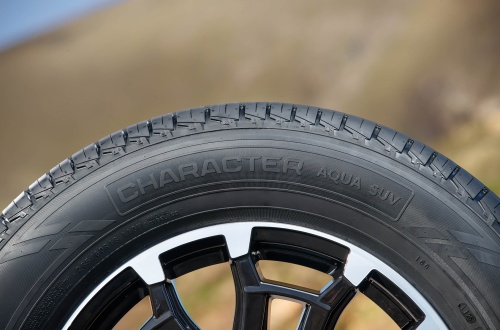 Ikon Tyres Character Aqua SUV 225/60 R17 99H купить с доставкой