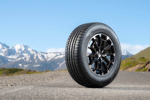 Ikon Tyres Character Aqua SUV 225/60 R17 99H купить с доставкой