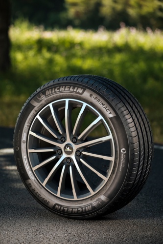 купить шины Michelin e.Primacy 225/55 R19 103V XL с гарантией