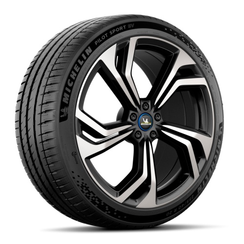 купить шины Michelin Pilot Sport EV 295/30 R21 102Y с гарантией