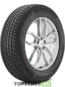 Continental ContiWinterContact TS 850 P
