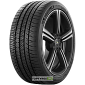 шины Pilot Sport A/S 4 Acoustic купить с доставкой