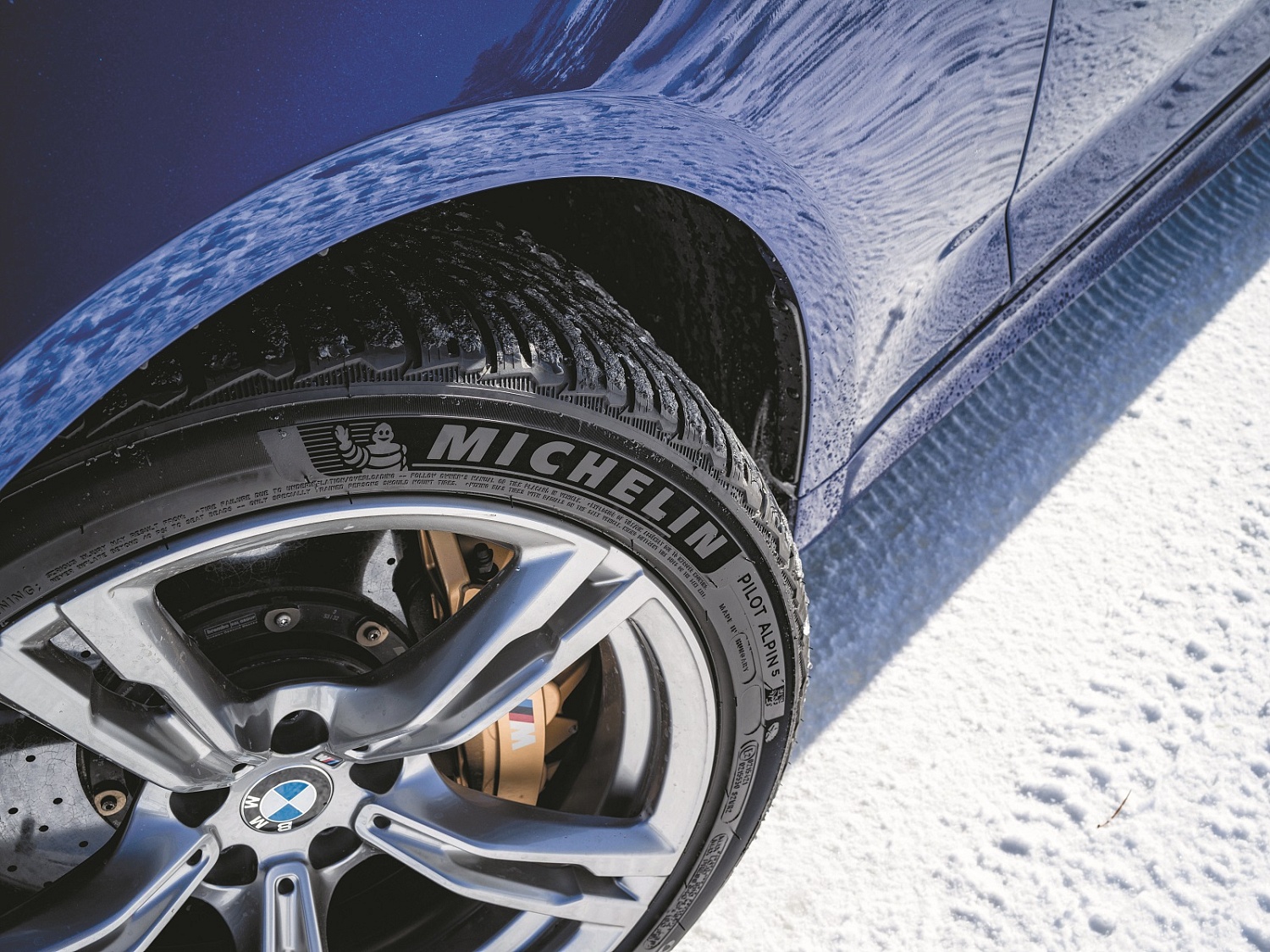 купить шины Michelin Pilot Alpin 5 SUV 255/55 R20 110V XL с гарантией