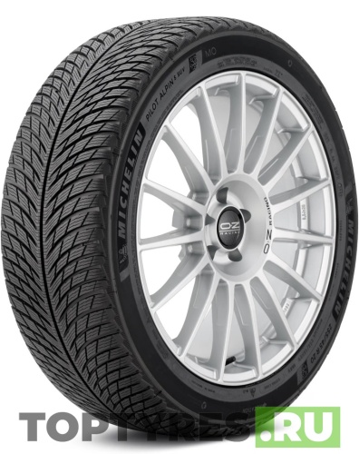 купить шины Michelin Pilot Alpin 5 SUV 265/50 R20 111V с гарантией
