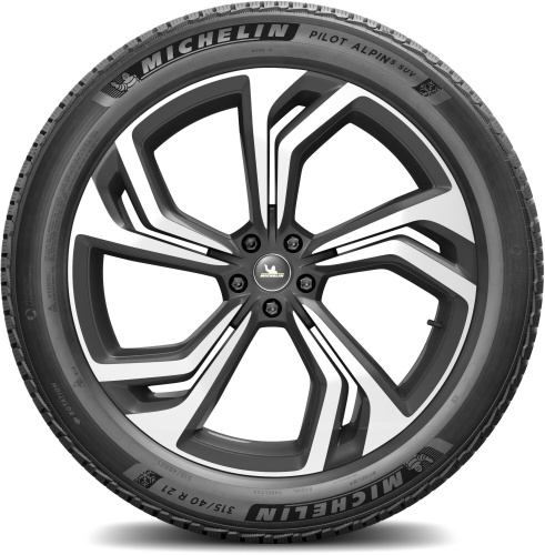 купить шины Michelin Pilot Alpin 5 SUV 255/55 R20 110V XL с гарантией