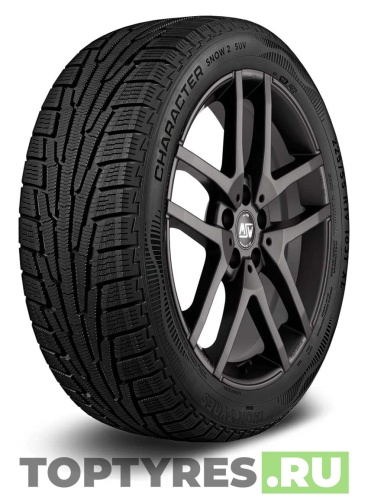 Ikon Tyres Character Snow 2 SUV 245/50 R18 104T XL купить с доставкой